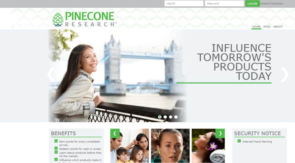 pine cone surveys, make money with pinecone surveys